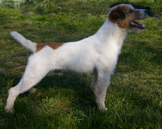 Bruno v. W.  Bruno v. W.