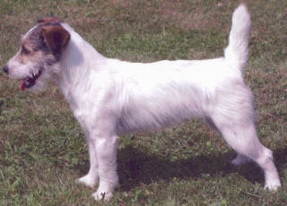 Make My Day v. Huntman`s Joy