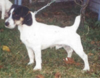 Gustav v.T. Roosenbos