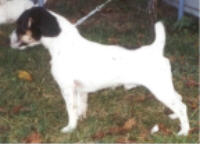 Gustav v.T. Roosenbos