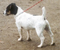 Gustav v.T. Roosenbos