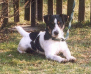 Gustav v.T. Roosenbos