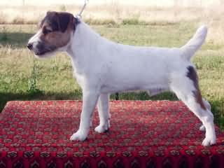 Victor Hugo vom Nixtein