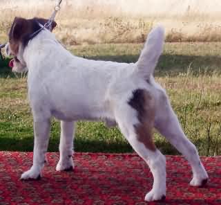 Victor Hugo vom Nixtein