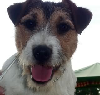 Hugo Kopf 27.06.2005 Hugo Kopf 27.06.2005