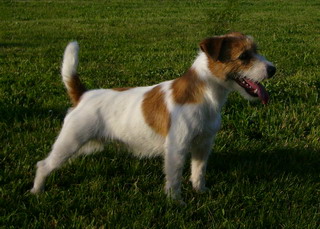 Uljana Lena vom Nixstein