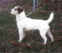 Make my Day v. Hartmans Joy