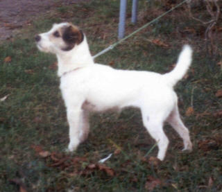 Make my Day v. Huntmans Joy