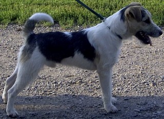 Matcho 2004-07 Matcho 2004-07