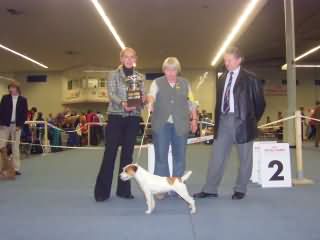 Europasieger 2005 Bruno vom Wietzenbruch