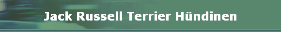 Jack Russell Terrier Hndinen