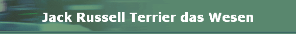 Jack Russell Terrier das Wesen