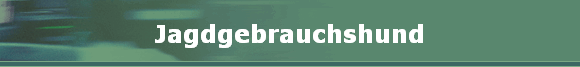 Jagdgebrauchshund