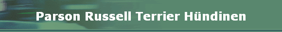 Parson Russell Terrier Hndinen