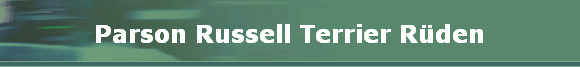 Parson Russell Terrier Rden