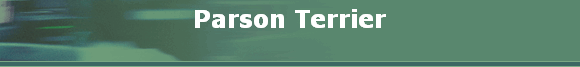 Parson Terrier
