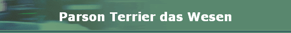 Parson Terrier das Wesen