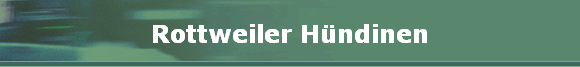 Rottweiler Hndinen
