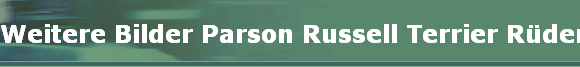 Weitere Bilder Parson Russell Terrier Rden