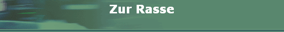 Zur Rasse
